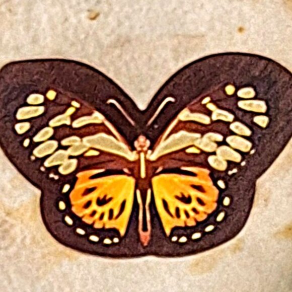 Vintage Ornate Framed Butterfly Wall Hanging 19" Excellent - Picture 3 of 8